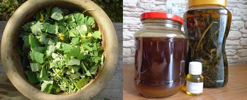 Preparation of curative juice from celandine for further use in the fight against toenail fungus